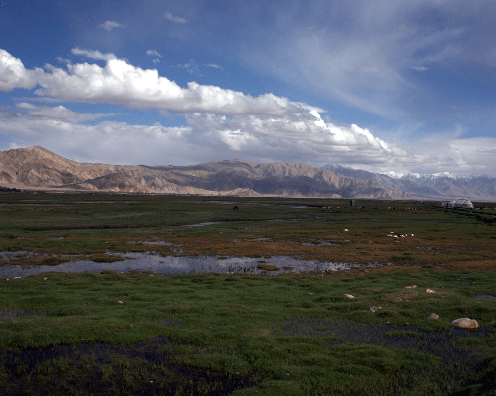 Lujiaowan grassland near the Tianshan foothills