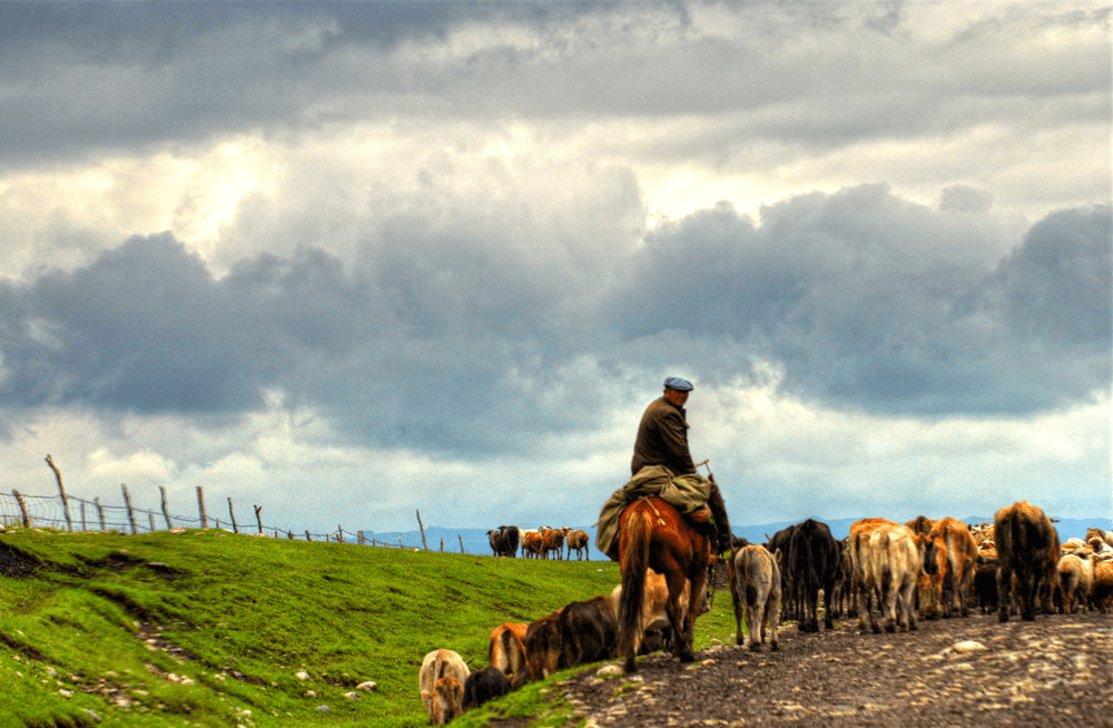 Pastoral landscape around Aketasi