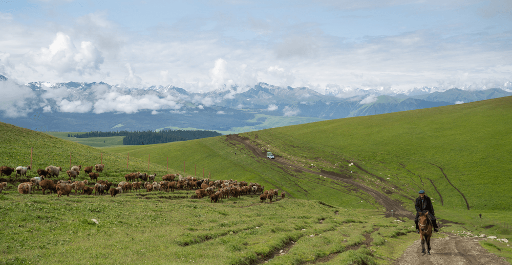 Kalajun Grassland