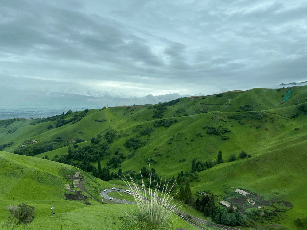 Nalati Grassland