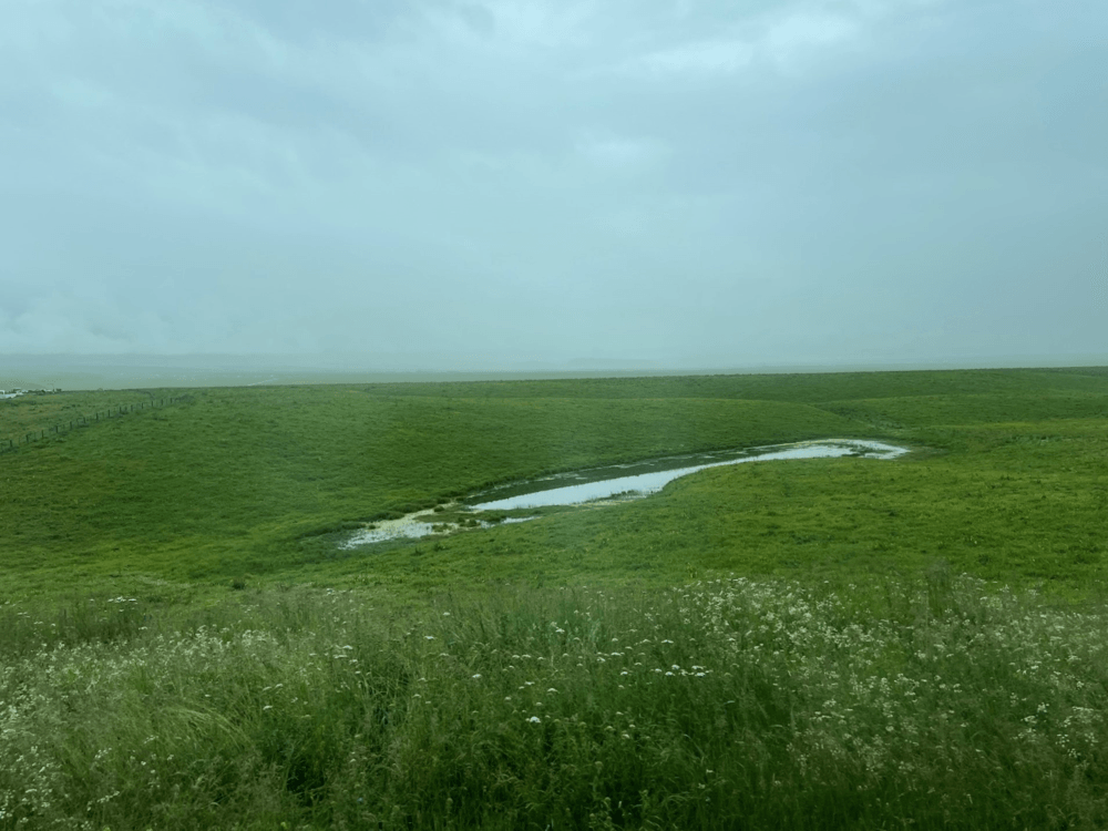 Ili River Valley & Grasslands