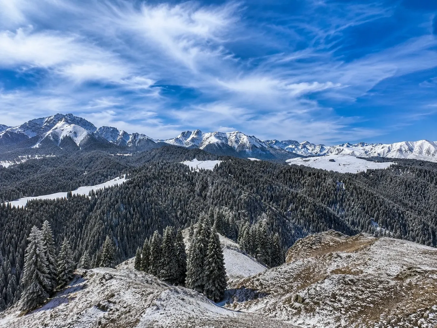 Jiangbulak snow peaks and spruce sea