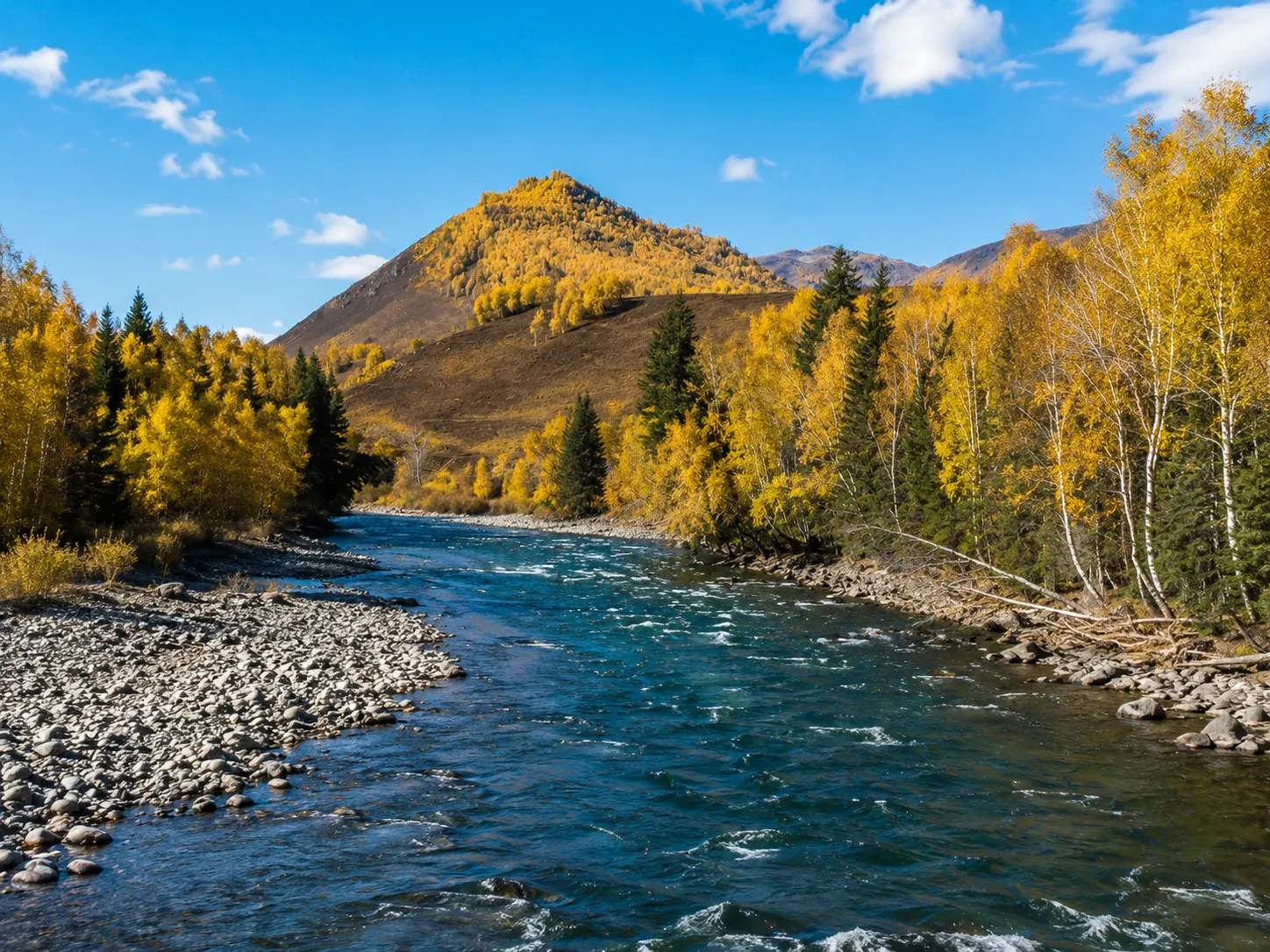 Hemu River with autumn birch and conifers