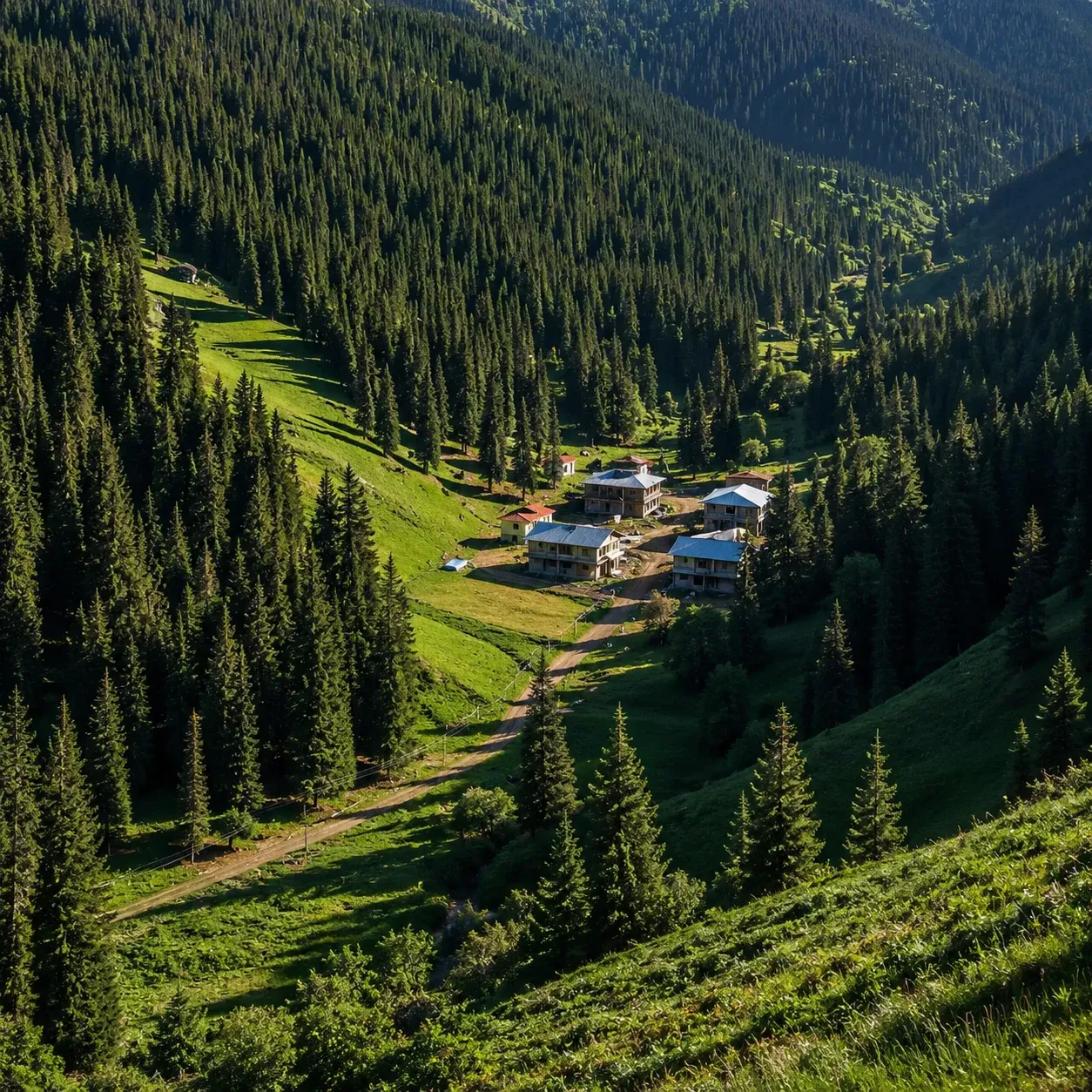 Gongnaisi valley forest
