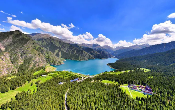 Lakeside spruce forest at Tianshan Tianchi