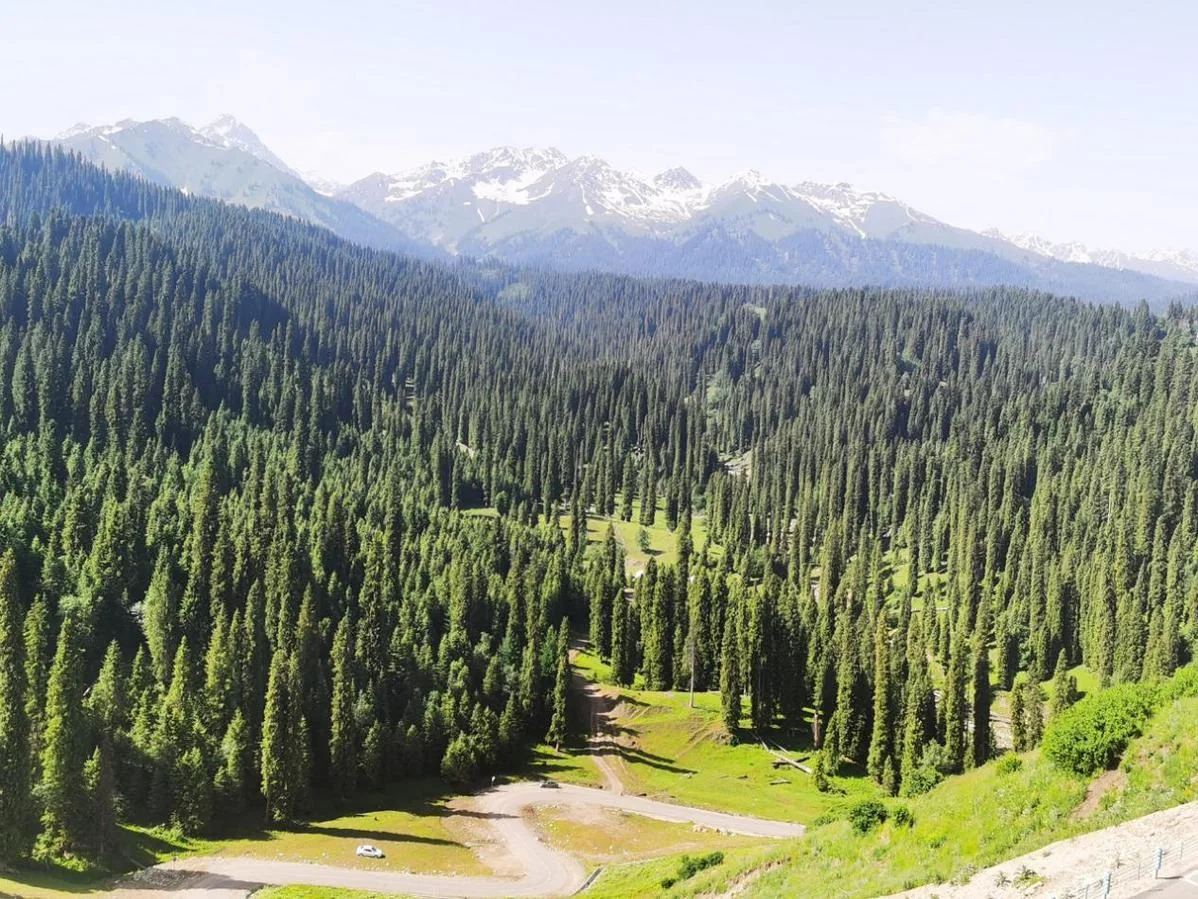 Northern Xinjiang (Kanas & Altay)