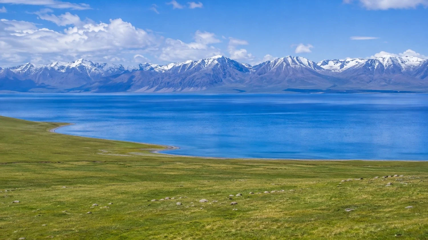 YuanMu Service Standards: Four Distinct Tiers of Travel